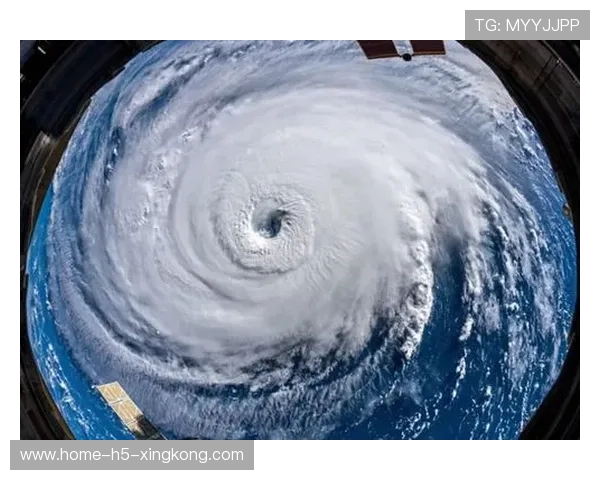 佛罗伦萨利用速度差完成突破 佛罗伦萨利用速度差完成突破