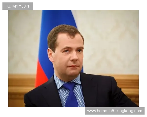 梅德韦杰夫技战术成熟,硬地实力顶尖,梅德韦杰夫资料